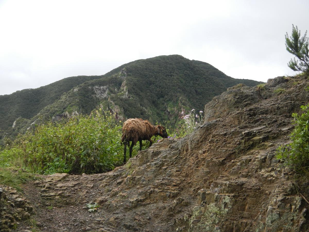 Albergue Montes De Anaga El Bailadero Ngoại thất bức ảnh